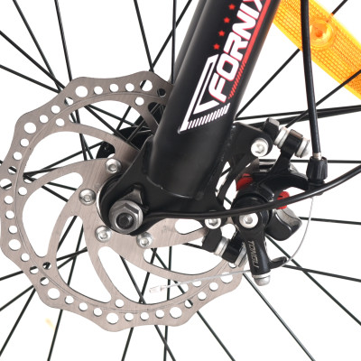 Xe đạp trẻ em Fornix FX20