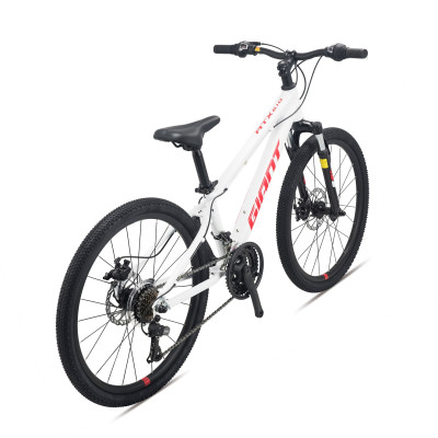 Xe đạp thể thao GIANT 2023 ATX 610 24inch