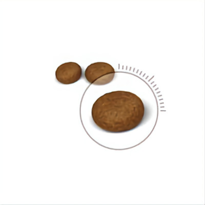 ROYAL CANIN  CHĂM SÓC DA VÀ LÔNG-HAIR & SKIN DRY CAT FOOD