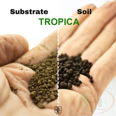 Cốt nền Tropica Substrate Nutrition Plant Care dinh dưỡng đậm đặc bể cá tép thủy sinh