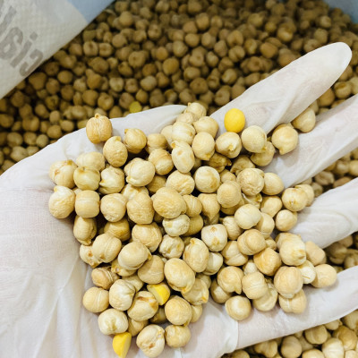 Hạt Đậu Gà Chickpeas Holinut Xuất Xứ Argentina /500gr/