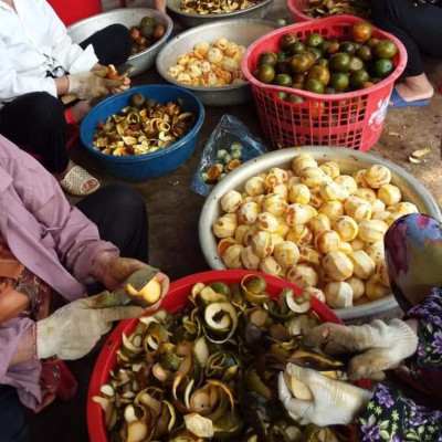 Tinh dầu Cam ngọt 50ml Mộc Mây - tinh dầu thiên nhiên nguyên chất 100% - chất lượng và mùi hương vượt trội