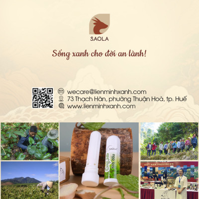 Ống hít tinh dầu thiên nhiên SAOLA - Ống Hít Thảo Dược Huế, Giảm Nghẹt Mũi, Nhức Đầu, Say Tàu Xe - Hàng Chính Hãng