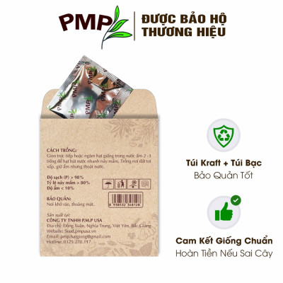 Hạt Giống Bí Siêu Ngọn PMP