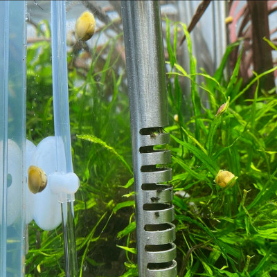 6 Mét dây sủi và 6 đá sủi oxy, quả sủi oxy dùng cho Máy sủi oxy, Máy sục khí - Tăng lượng khí oxy bể cá - Giúp cá lớn nhanh, phát triển mạnh ( Trắng - Đen)