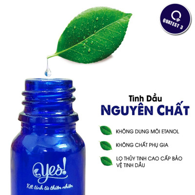 TINH DẦU TRÀM GIÓ YES! (CAJEPUT ESSENTIAL OIL)