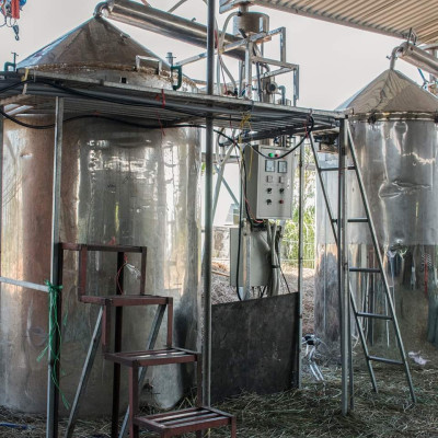 Tinh dầu hoa Hồng 50ml Mộc Mây - tinh dầu thiên nhiên nguyên chất 100% - chất lượng và mùi hương vượt trội