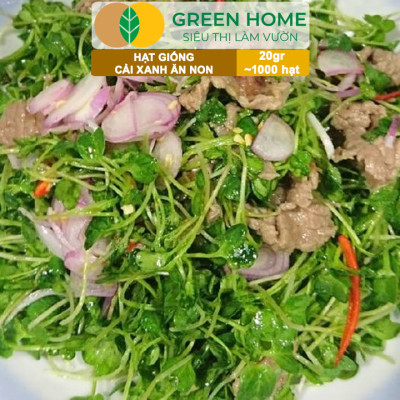 Hạt Giống Rau Greenhome, Ăn Lá, Nhiều Loại, Trồng Chậu, Dễ Trồng, Trồng Quanh Năm, Năng Suất Cao