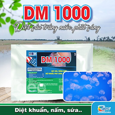 DM 1000 – Giải pháp xử lý trứng nước, phát sáng, cải thiện môi trường ao nuôi cá tôm