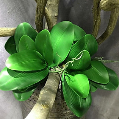 Lá lan hồ điệp giả giống thật 99% - 1 cụm gồm 5 lá - dài 27cm - Cây giả, hoa lụa Decor trang trí nhà cửa