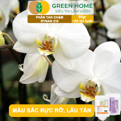 Phân Tan Chậm GreenHome, Rynan 210, Bao 90g ~ 30 Túi Lưới 3g, Chuyên Dùng Cho Phong Lan Trưởng Thành