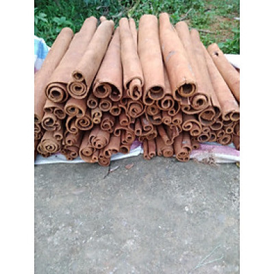 Quế thanh các loại ngắn gia vị nấu ăn và làm trà