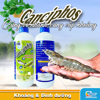 Canciphos – Bổ sung Canxi, hỗ trợ tôm lột xác và hình thành vỏ tôm cá
