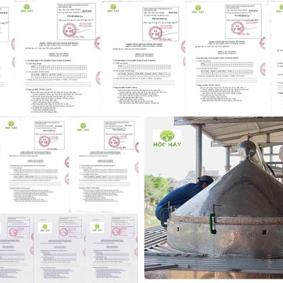 Tinh dầu Gỗ Tuyết Tùng (Hoàng Đàn) 10ml Mộc Mây - tinh dầu thiên nhiên nguyên chất 100% - chất lượng và mùi hương vượt trội, mạnh mẽ nồng nàn, nhưng êm dịu sẽ giúp cho bạn có những giây phút không thể tuyệt vời hơn - Có kiểm định