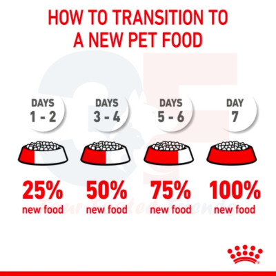 Thức Ăn Cho Mèo Mang Thai Và Mèo Con Royal Canin Mother Anh Babycat