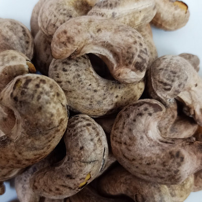 500G Hạt Điều Rang Muối Vỏ Lụa Loại Cồ O