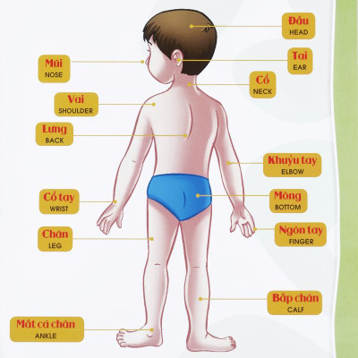 Từ Điển Bằng Hình Của Tôi - Em Thích Khám Phá (Dành Cho Trẻ 0-2 Tuổi)