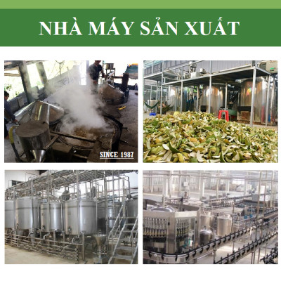 Tinh dầu gỗ Đàn Hương 50ml nguyên chất từ thiên nhiên - KingOil