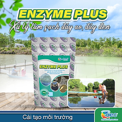 Chế phẩm vi sinh Enzyme Plus – hỗ trợ xử lý bùn đáy ao đáy đen nuôi tôm