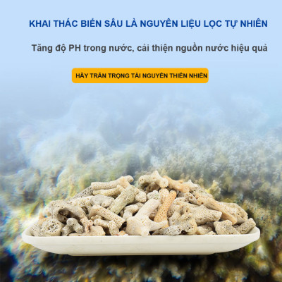 6KG San Hô Vụn vật liệu lọc hồ cá, trang trí bể cá, hồ thủy sinh cao cấp 