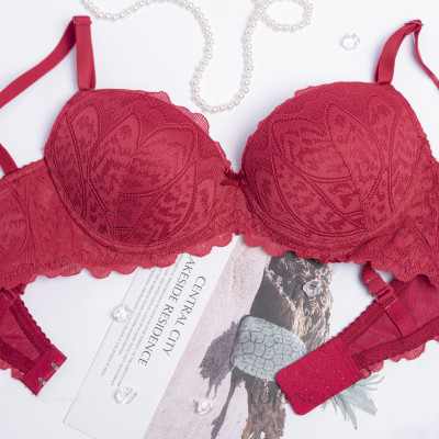 Áo lót Lorencia Không Gọng Đệm vừa GLK - 186