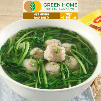Hạt Giống Rau Tần Ô Greenhome, Gói 20g~3500 hạt, Cải Cúc Dễ Trồng, Thu Hoạch Nhanh R02