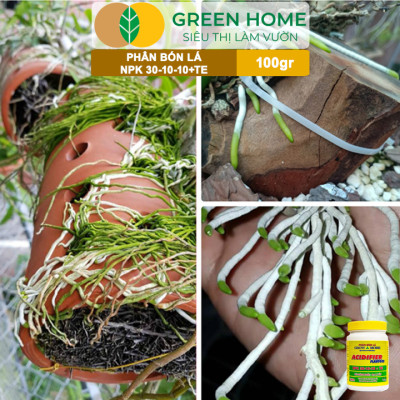 Phân Bón Lá Grow More NPK 30-10-10, GreenHome, Chai 100GR, Đẻ Nhánh Khỏe, Ra Lá Tốt