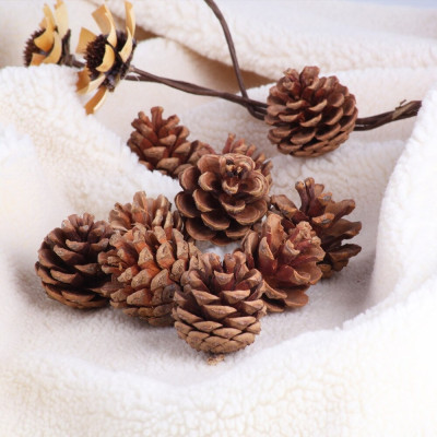 Quả thông khô trang trí Noel - Cây giả, hoa lụa trang trí nhà cửa