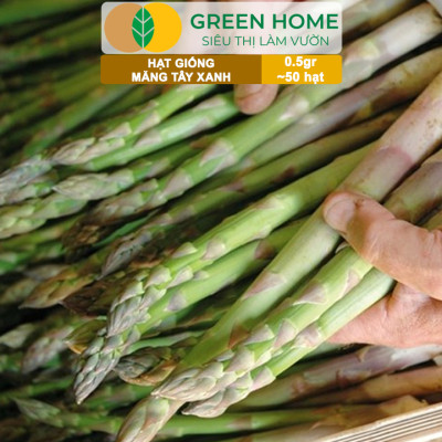 Hạt Giống Măng Tây Xanh Greenhome, Gói 0.5g~50 hạt, Dễ Trồng Quanh Năm, Nảy Mầm Cao, Thu Hoạch Nhanh, Năng Suất Cao T19