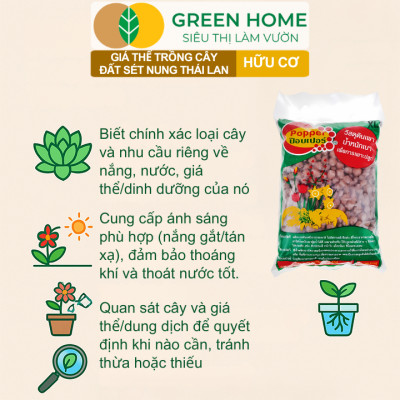 Đất Sét Nung Trồng Cây Greenhome, Bao 6lít, Thái Lan, Trồng Sen Đá, Phong Lan, Sứ, Thuỷ Canh, Chống Mọc Cỏ, Thoáng Khí