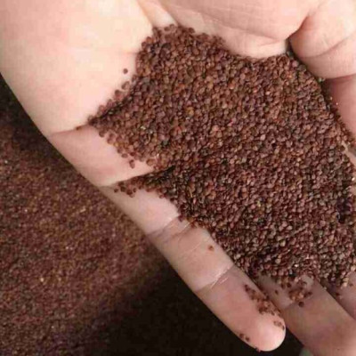 Hạt ngũ hoa -  Hạt huỳnh lịch - Hạt lịch - Gói 500gr