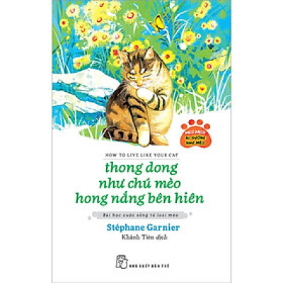Thong dong như chú mèo hong nắng bên hiên