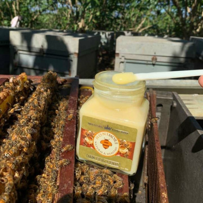 Combo 2 hũ Sữa ong chúa tươi nguyên chất 300g [TẶNG 1 HŨ] - bồi bổ sức khỏe, da căng mịn