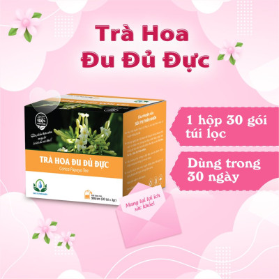 Trà Hoa Đu Đủ Đực Hộp 30 Túi Lọc Của Siêu Thị Thiên Nhiên