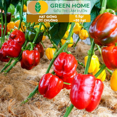 Hạt Giống Ớt Chuông GreenHome, Gói 0,5gr~50 hạt, Dễ Trồng Quanh Năm, Thu Hoạch Nhanh, Năng Suất Cao G13
