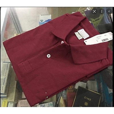 Áo Thun Cá Sấu Nam  Nữ Thời Trang Cao Cấp 40kg-80kg (MS06)