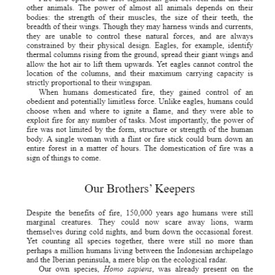 Sapiens : A Brief History of Humankind (Paperback)