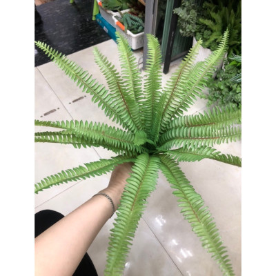 Dương xỉ trang trí - Dài 25cm - Đường kính 50cm - Cây giả, hoa lụa Decor trang trí nhà cửa