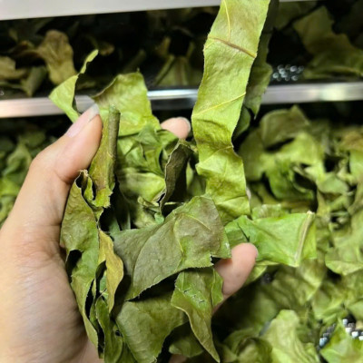 Trà túi lọc, Bột lá bàng ,rôm sảy ,ngứa ngoài, có che tên sản phẩm