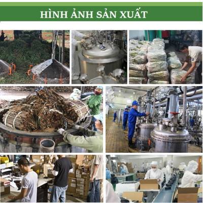 Tinh dầu Sả Java nguyên chất tự nhiên, xông phòng, khử mùi, thơm phòng, đuổi muỗi, thư giản - KingOil