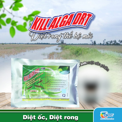 Gói Diệt Rong Drt - Giải pháp kiểm soát rong nhớt, rong bám hiệu quả cho ao nuôi tôm cá