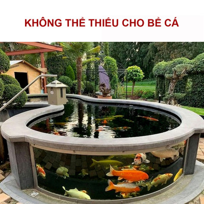 Men Tiêu Hóa TN 50Gr làm hấp thụ thức ăn tốt dùng cho tôm cua cá, hải sản, ếch rùa, lươn, cá sấu ... 