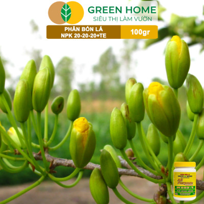 Phân Bón Lá Grow More NPK 20-20-20, GreenHome, Chai 100GR, To Củ, Lớn Trái, Chắc Hạt