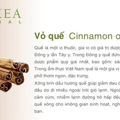 Tinh Dầu Quế Biyokea (10ml)