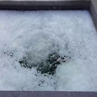 500GR Hạt Kaldnes LOẠI TO vật liệu lọc nước bể cá, tạo oxy hồ thủy sinh cao cấp