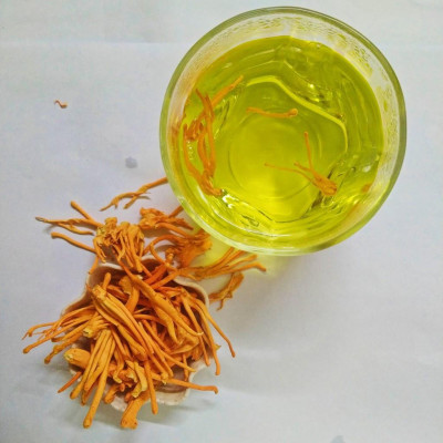 Đông trùng hạ thảo hữu cơ Bách An Khang sấy thăng hoa cao cấp 10g nuôi cấy Đà Lạt tốt cho sức khỏe
