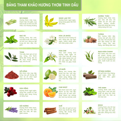 Tinh Dầu Hoa Hồi Biyokea (10ml)