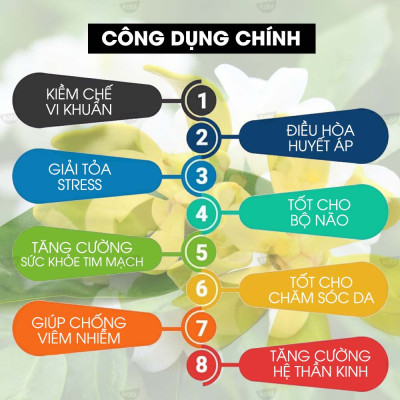 Tinh Dầu Ngọc Lan Tây Kobi Giúp Thư Giãn, Tạo Hứng Khởi (10ml)