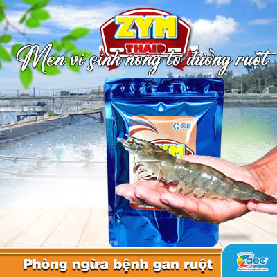 Zym Thaid – Giải pháp tối ưu giúp tăng cường hệ tiêu hoá cho tôm cá