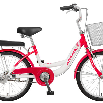 Xe Đạp Trẻ em Asama CLD BR2002 20inch